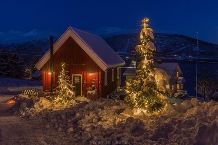 Kraemarvika Lodge Tromsø Esterno foto