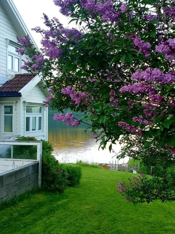 Kraemarvika Lodge Tromsø Esterno foto