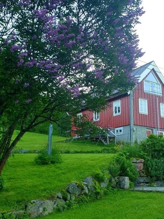 Kraemarvika Lodge Tromsø Esterno foto